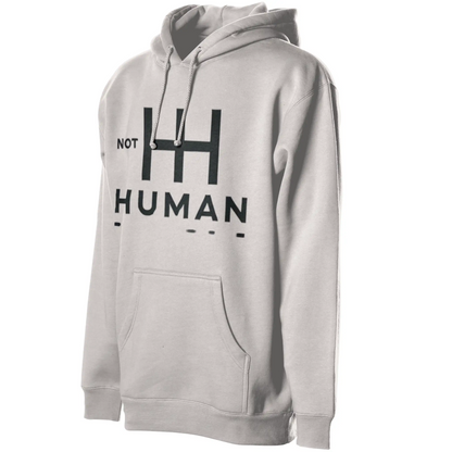 Heavyweight pullover hoodie