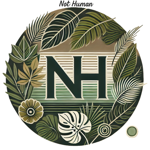 Nothmn