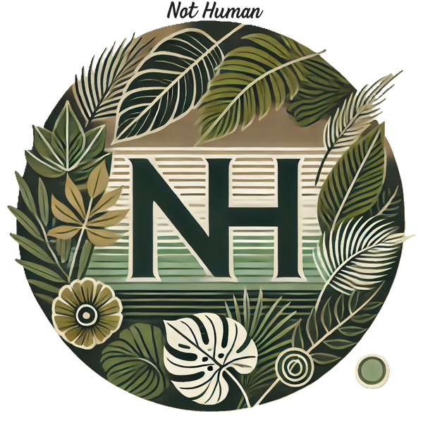 Nothmn